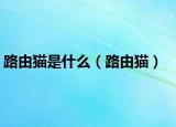 路由猫是什么（路由猫）