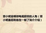 晋小妮是哪部电视剧里的人物（晋小妮最后和谁在一起了简介介绍）