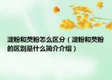 淀粉和芡粉怎么区分（淀粉和芡粉的区别是什么简介介绍）