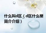 什么叫d区（d区什么梗简介介绍）