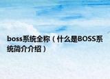 boss系统全称（什么是BOSS系统简介介绍）