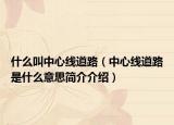 什么叫中心线道路（中心线道路是什么意思简介介绍）