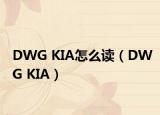 DWG KIA怎么读（DWG KIA）