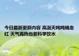 今日最新更新内容 高温天吨吨桶走红 天气再热也要科学饮水