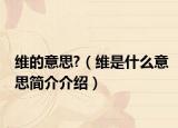 维的意思?（维是什么意思简介介绍）