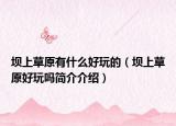 坝上草原有什么好玩的（坝上草原好玩吗简介介绍）