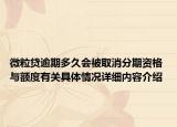 微粒贷逾期多久会被取消分期资格 与额度有关具体情况详细内容介绍