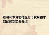 秋耳和木耳怎样区分（秋耳和木耳的区别简介介绍）