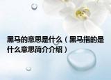 黑马的意思是什么（黑马指的是什么意思简介介绍）