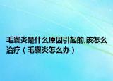 毛囊炎是什么原因引起的,该怎么治疗（毛囊炎怎么办）