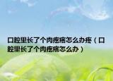 口腔里长了个肉疙瘩怎么办疼（口腔里长了个肉疙瘩怎么办）