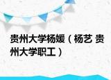贵州大学杨媛（杨艺 贵州大学职工）