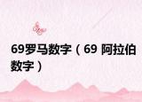 69罗马数字（69 阿拉伯数字）