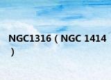 NGC1316（NGC 1414）