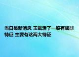当日最新消息 玉戴活了一般有哪些特征 主要有这两大特征