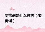 要害词是什么意思（要害词）