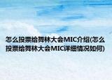 怎么投票给舞林大会MIC介绍(怎么投票给舞林大会MIC详细情况如何)