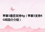 苹果5是否支持4g(苹果5支持4G吗简介介绍)