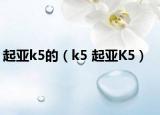 起亚k5的（k5 起亚K5）