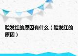脸发红的原因有什么（脸发红的原因）