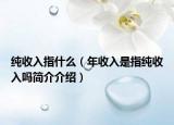 纯收入指什么（年收入是指纯收入吗简介介绍）