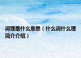 词理是什么意思（什么词什么理简介介绍）