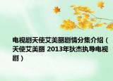 电视剧天使艾美丽剧情分集介绍（天使艾美丽 2013年狄杰执导电视剧）