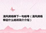 清风拂杨柳下一句暗号（清风拂杨柳是什么暗语简介介绍）