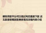 哪些贷款平台可以绕过风控直接下款 这五款很容易放款具体情况详细内容介绍