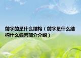 前字的是什么结构（前字是什么结构什么偏旁简介介绍）