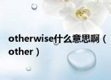 otherwise什么意思啊（other）