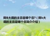 降B大调的主音是哪个音?（降b大调的主音是哪个音简介介绍）