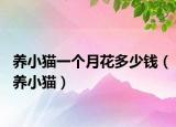 养小猫一个月花多少钱（养小猫）