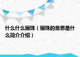 什么什么骊珠（骊珠的意思是什么简介介绍）