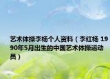 艺术体操李杨个人资料（李红杨 1990年5月出生的中国艺术体操运动员）