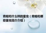 青蛙吃什么样的害虫（青蛙吃哪些害虫简介介绍）