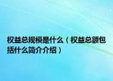 权益总规模是什么（权益总额包括什么简介介绍）