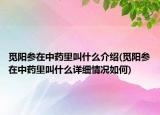 觅阳参在中药里叫什么介绍(觅阳参在中药里叫什么详细情况如何)