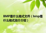 BMP是什么格式文件（bmp是什么格式简介介绍）