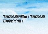 飞猪怎么查行程单（飞猪怎么查订单简介介绍）