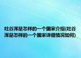 吐谷浑是怎样的一个国家介绍(吐谷浑是怎样的一个国家详细情况如何)