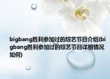 bigbang胜利参加过的综艺节目介绍(bigbang胜利参加过的综艺节目详细情况如何)