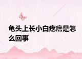 龟头上长小白疙瘩是怎么回事