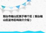 烟台市福山区属于哪个区（烟台福山区是市区吗简介介绍）