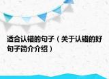 适合认错的句子（关于认错的好句子简介介绍）