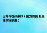 因为你在张惠妹（因为有我 张惠妹演唱歌曲）