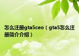 怎么注册gta5ceo（gta5怎么注册简介介绍）