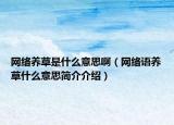 网络养草是什么意思啊（网络语养草什么意思简介介绍）