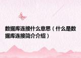 数据库连接什么意思（什么是数据库连接简介介绍）