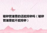 输卵管堵塞的话能排卵吗（输卵管堵塞能不能排卵）